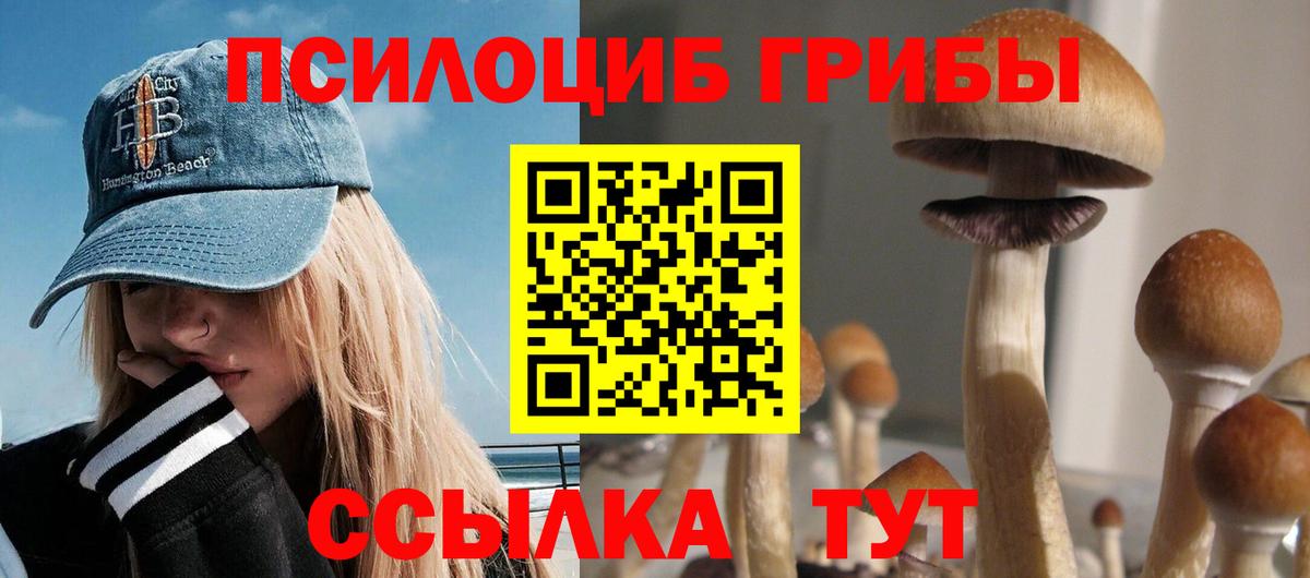 Псилоцибиновые грибы мицелий Малоярославец