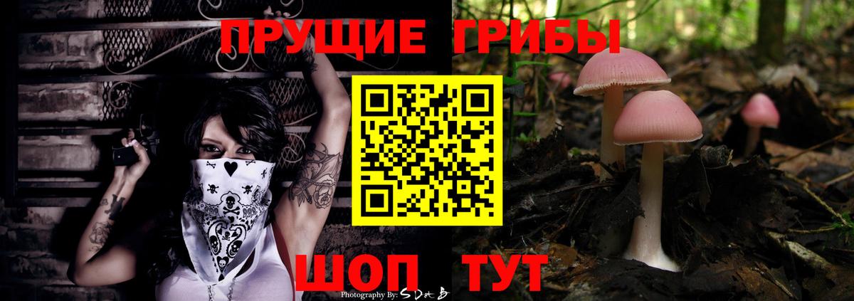 Малоярославец  Псилоцибиновые грибы ЛСД  Вход с VPN 